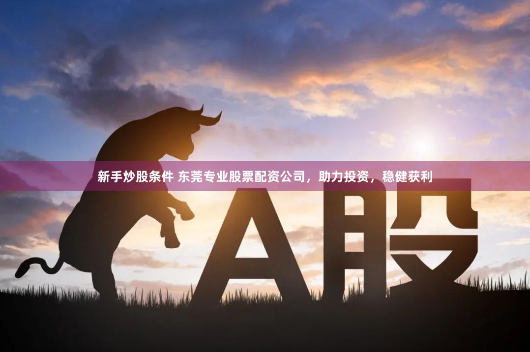新手炒股条件 东莞专业股票配资公司，助力投资，稳健获利